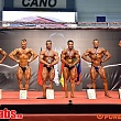 9 ��������� ���� �� ������������� ������������ (�������) 11-13.12.2014