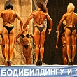 ��� �����������. ��������� - ����������. ����� 2012 ����