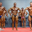 9 ��������� ���� �� ������������� ������������ (�������) 11-13.12.2014
