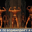 19   -    14.04.2007