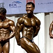   IFBB  ()  21-24.11.2008