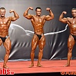 9 ��������� ���� �� ������������� ������������ (�������) 11-13.12.2014