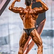 ������� ������. ��������� - ������������ �����������. ����� 2013 ����